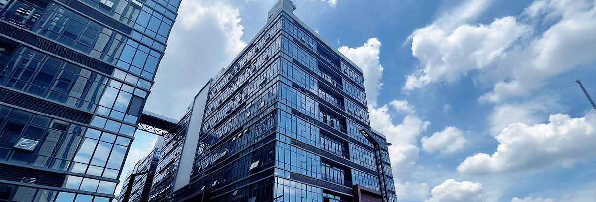 So… Define Naifli?